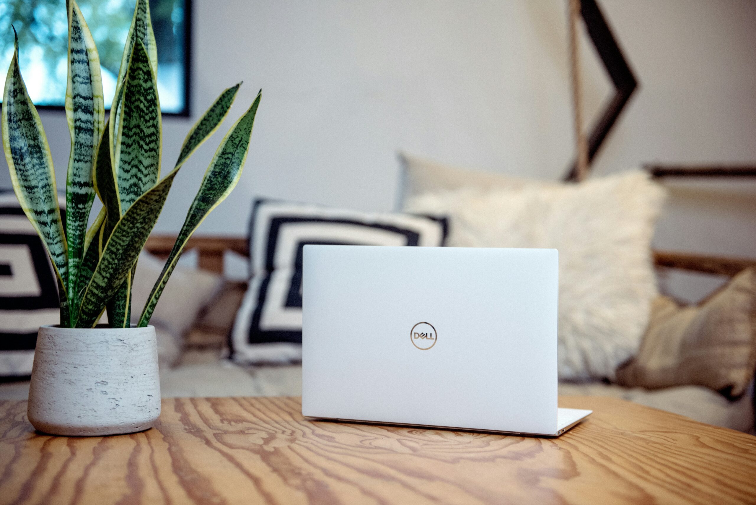 Dell XPS 13 Plus best premium Windows business laptop 2026